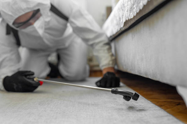 Professional Cockroach Control technician working in Winnetka, IL