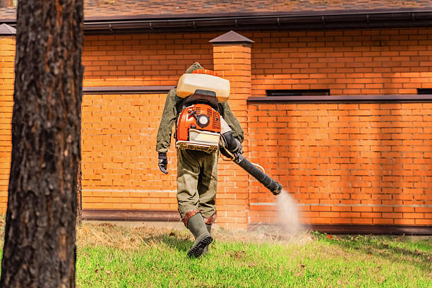 Trusted Bed Bug Control service in Winnetka, IL - Nex Pest Control